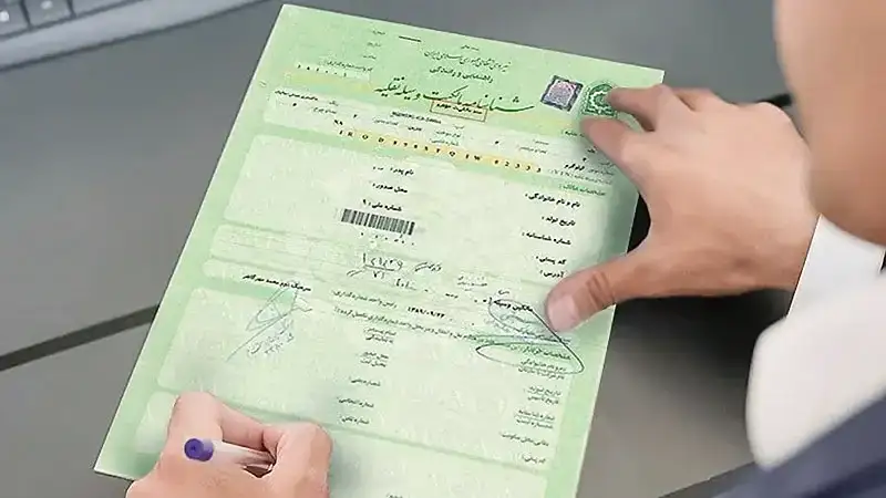 نکات کلیدی درمورد برگ سبز خودرو